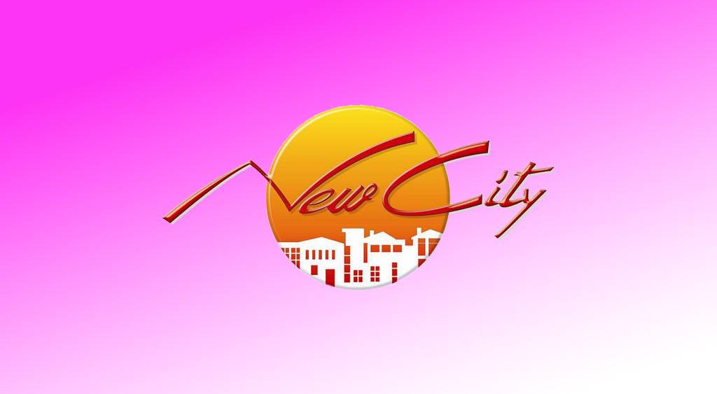 New City Paradise Developers