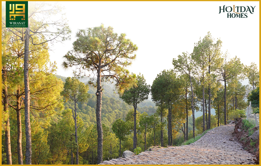 Holidays Homes Murree View 3