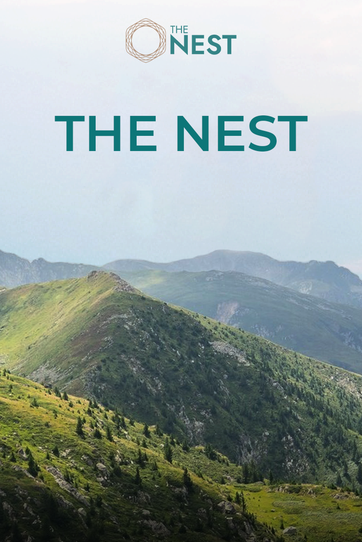 The Nest Wirasat Real Estate